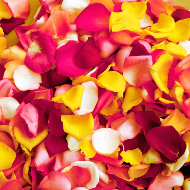 Rose Petals