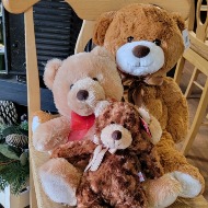 Stuffed Animal