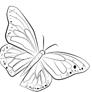 Add A Butterfly