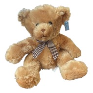 Stuffed Teddy Bear