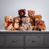 Bears