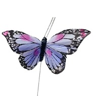 feather butterfly