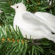 add a dove