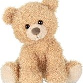 Stuffed Animal