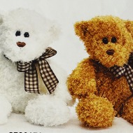 Stuffed Animal