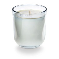 Picnic in the park Daydream Glass Candle