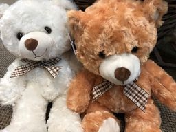 Stuffed Animal
