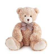 Stuffed Animal
