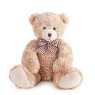 Stuffed Animal (Varies)