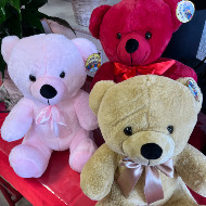 Large Teddy Bears