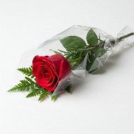 Single Wrapped Red Rose
