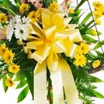 Ribbon Bow