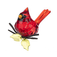 sitting red cardinal