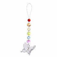 rainbow acrylic butterfly