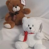 Plush Teddy Bear in Gift Bag