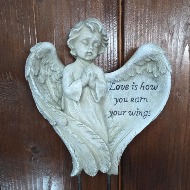 Angel-Love is how you earn your wings