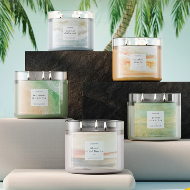 Goose Creek Three Wick Candles (Scents Vary)