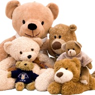 Stuffed Animal (Types Vary)