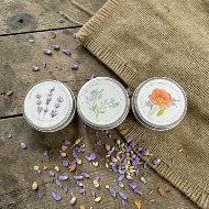 Seed Tins