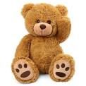 Stuffed Animal