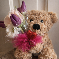 Warmie Plushie (Style varies)