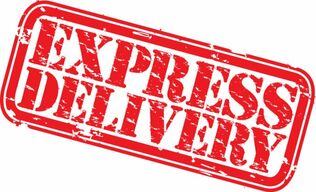 Express Delivery