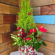 Christmas Decorations for plants and arrangments