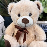 12 " Soft Cuddly Bear