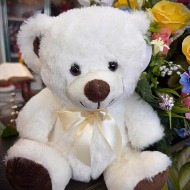 12" Cream Color Plush Bear