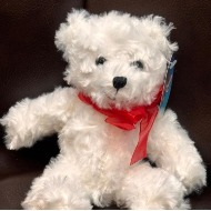 8" Small Shaggy Plush Bear