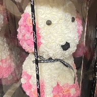ROSE DOGGY