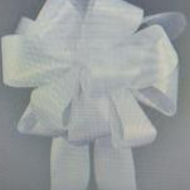 Hand Tied Bow