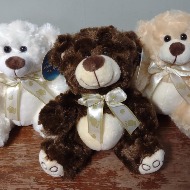 Paw Prints Bear