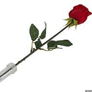 One Single Rose