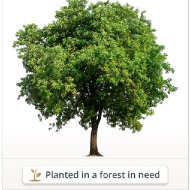 Eco-Friendly Memorial Trees