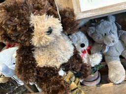 Stuffed Animal