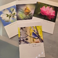 Sympathy Greeting Card