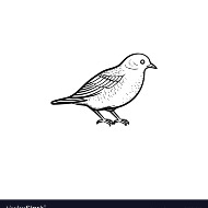 Add A Bird