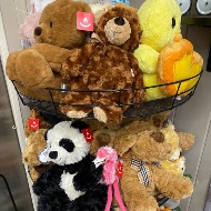 Stuffed Animal
