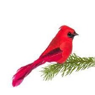 Keepsake Cardinal