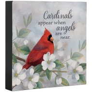 Cardinals Appear Square Sitter