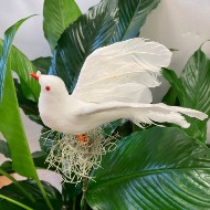 White silk dove