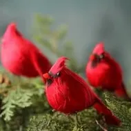 Red Bird accessory