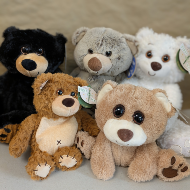 Stuffed Animal