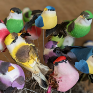 Bird Pick