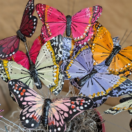 Butterfly Pick