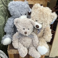 Assorted Bear