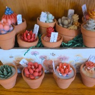 Succulent Candles