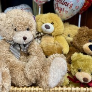 Stuffed animal (our choice)