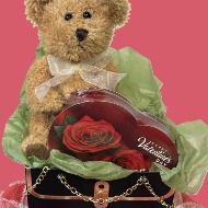 Bear in a purse